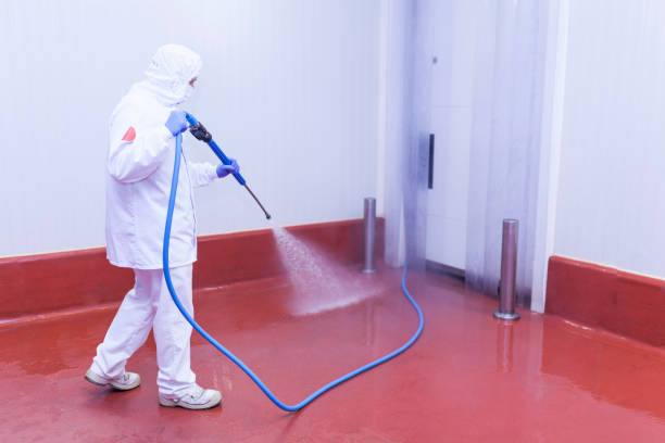 Best Rust and Stain Removal in Angola On The Lake, NY